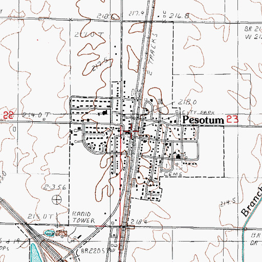 Topographic Map of Pesotum, IL
