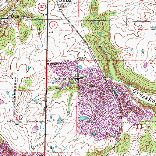 Topographic Map of Peterson Cemetery, IL