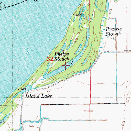 Topographic Map of Phelps Slough, IL