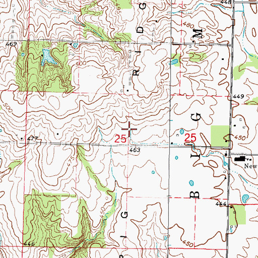 Topographic Map of Pig Ridge, IL