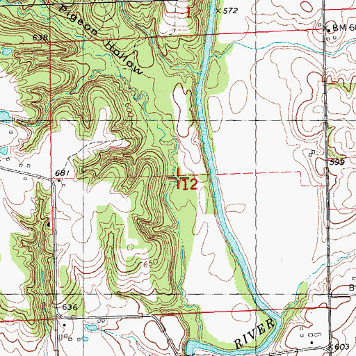 Topographic Map of Pigeon Hollow, IL