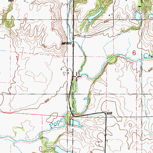 Topographic Map of Pike Run, IL