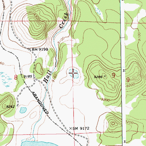 Topographic Map of Teal Sink, AZ