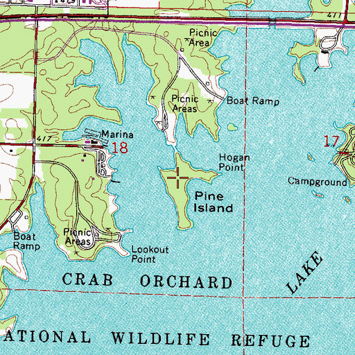 Topographic Map of Pine Island, IL