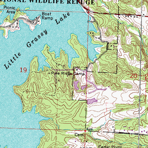 Topographic Map of Pine Ridge Camp, IL