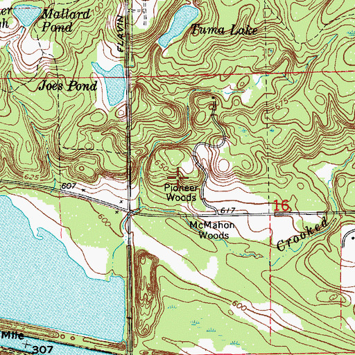 Topographic Map of Pioneer Woods, IL