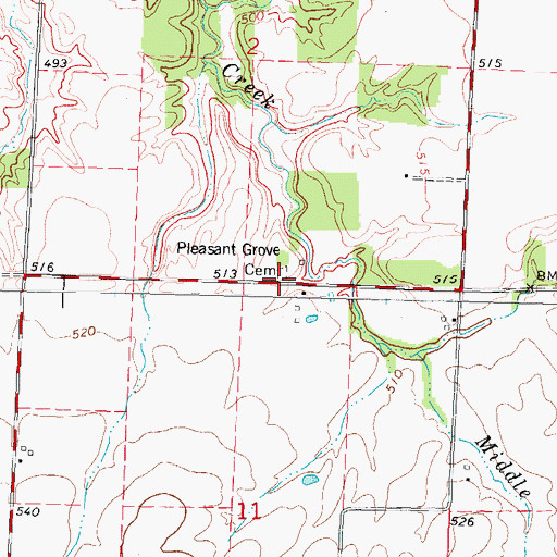 Topographic Map of Pleasant Grove Cemetery, IL