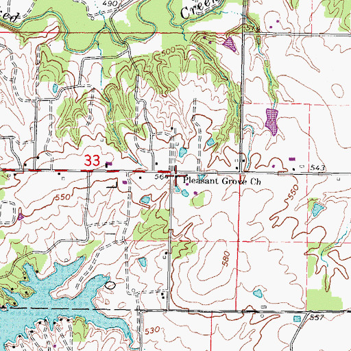 Topographic Map of Pleasant Grove Church, IL
