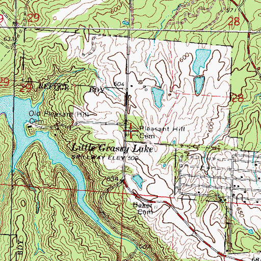 Topographic Map of Pleasant Hill Cemetery, IL