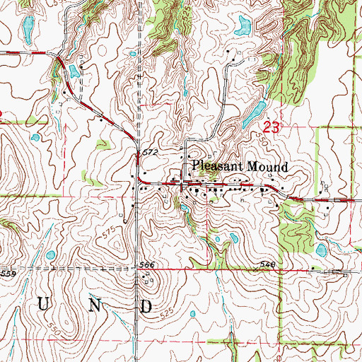 Topographic Map of Pleasant Mound, IL