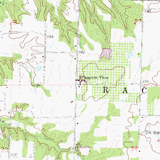 Topographic Map of Pleasant View Church, IL