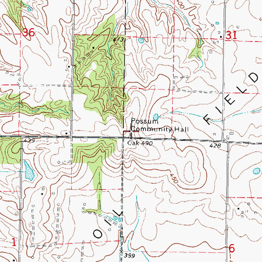 Topographic Map of Possum Community Hall, IL
