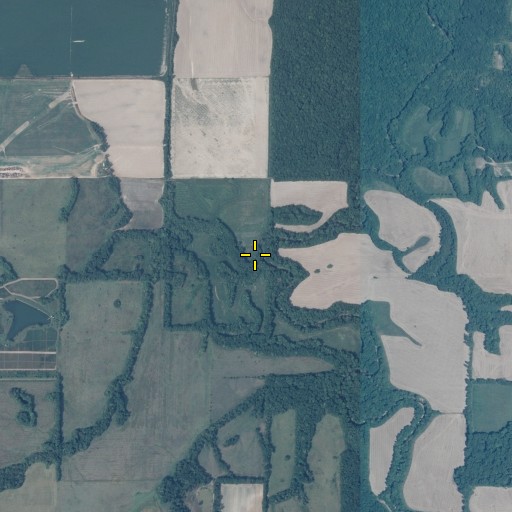 Aerial/Satellite Image of Possum Creek, IL