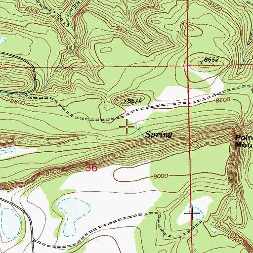 Topographic Map of Rim Spring, AZ