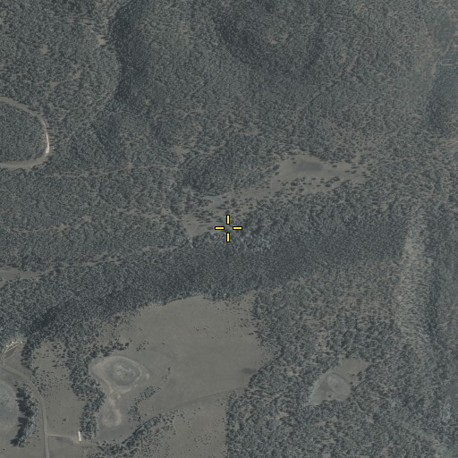 Aerial/Satellite Image of Rim Spring, AZ