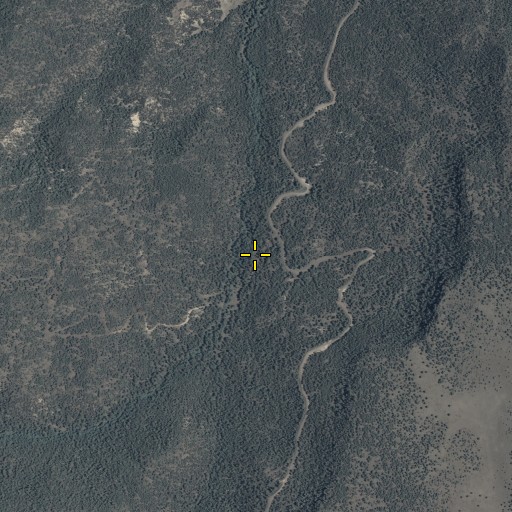 Aerial/Satellite Image of Eldeberry Spring, AZ