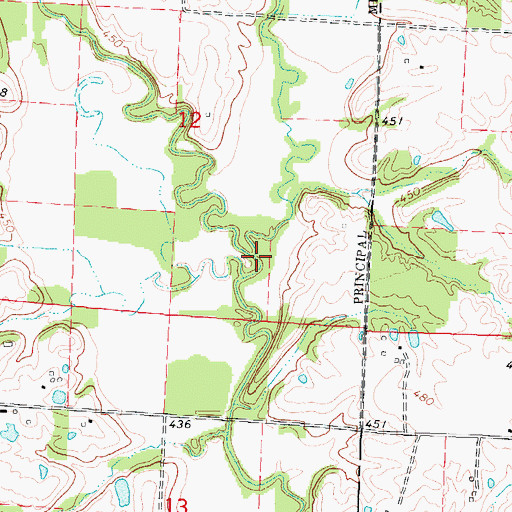 Topographic Map of Puncheon Creek, IL