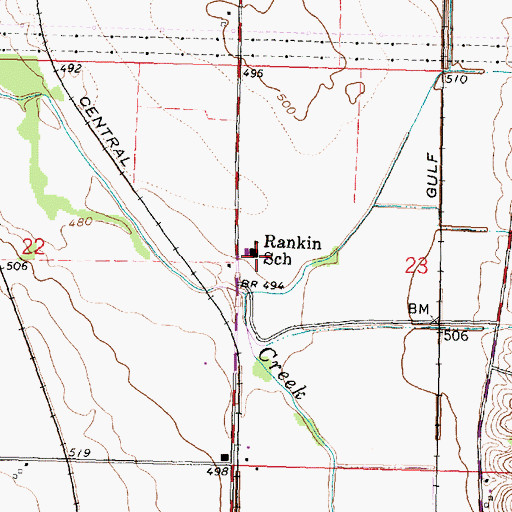 Topographic Map of Rankin Elementary School, IL