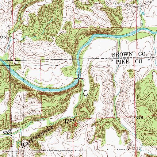 Topographic Map of Rattlesnake Den Creek, IL