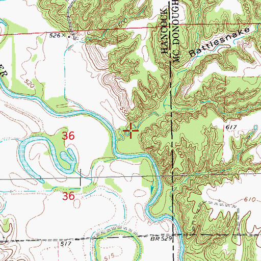 Topographic Map of Rattlesnake Den Hollow, IL