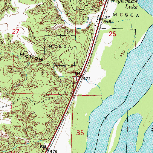 Topographic Map of Rattlesnake Hollow, IL