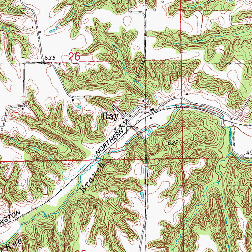 Topographic Map of Ray, IL
