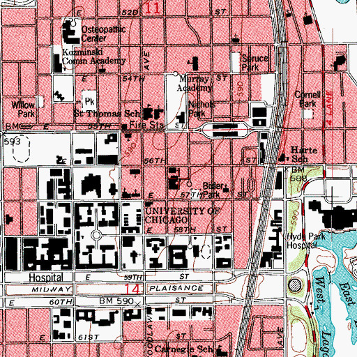 Topographic Map of Ray Elementary School, IL