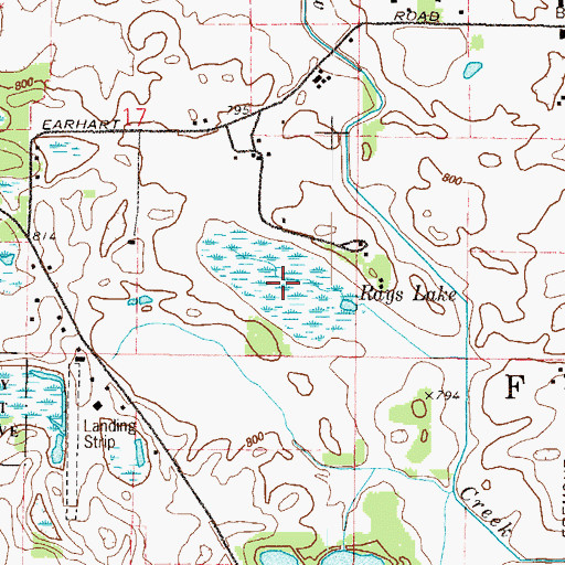 Topographic Map of Rays Lake, IL