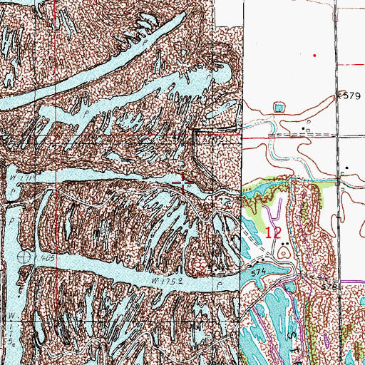 Topographic Map of Reddick Run, IL