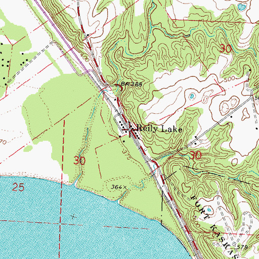 Topographic Map of Reily Lake, IL