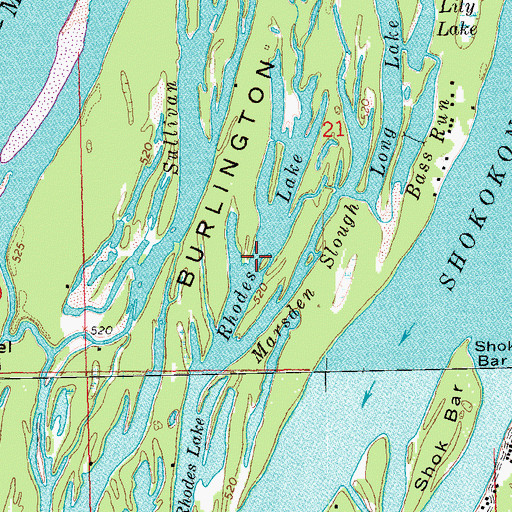 Topographic Map of Rhodes Lake, IL