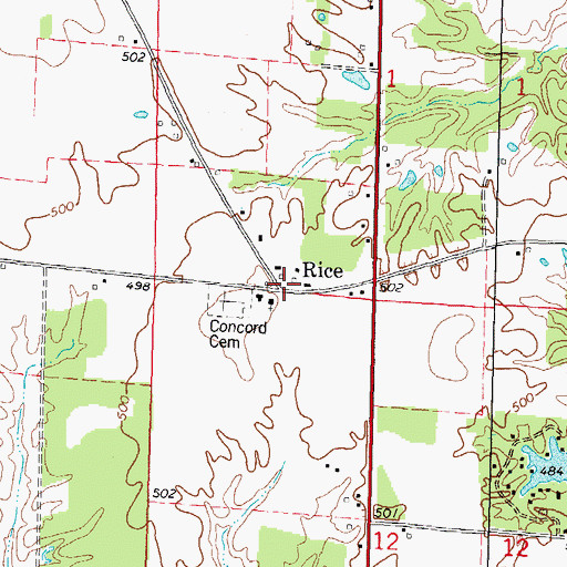 Topographic Map of Rice, IL