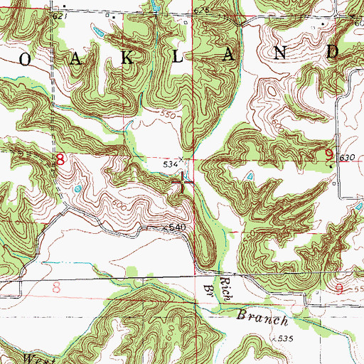 Topographic Map of Rich Branch, IL