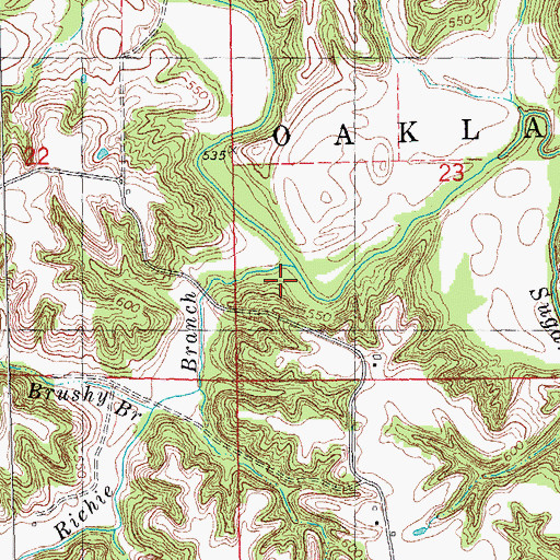 Topographic Map of Richie Branch, IL