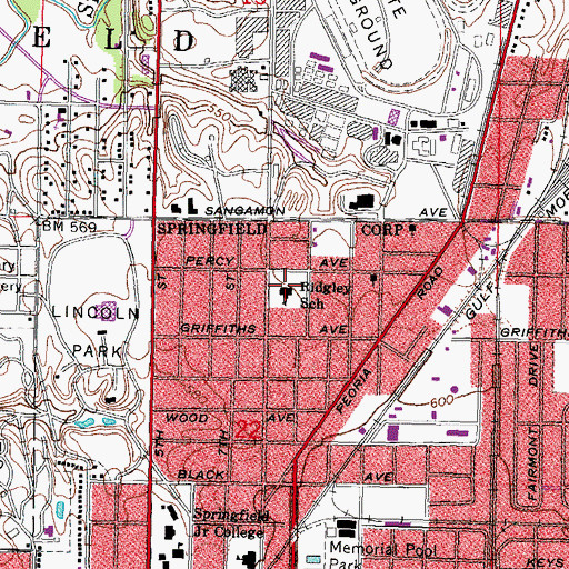 Topographic Map of Ridgley Elementary School, IL