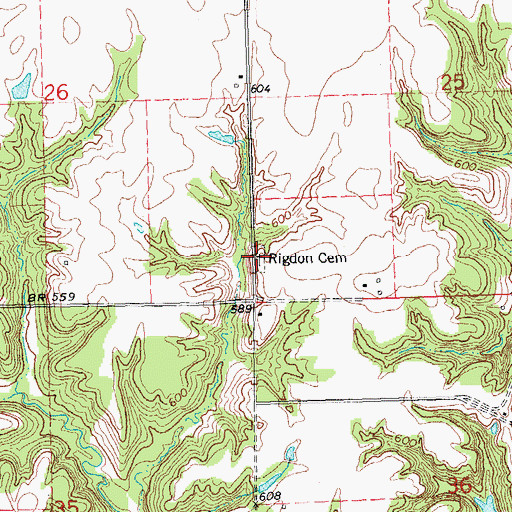 Topographic Map of Rigdon Cemetery, IL