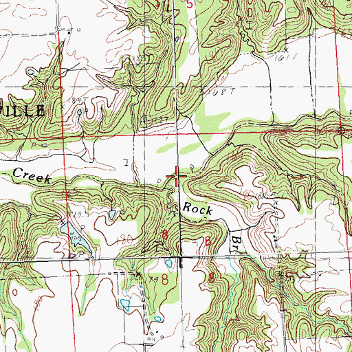 Topographic Map of Rock Branch, IL