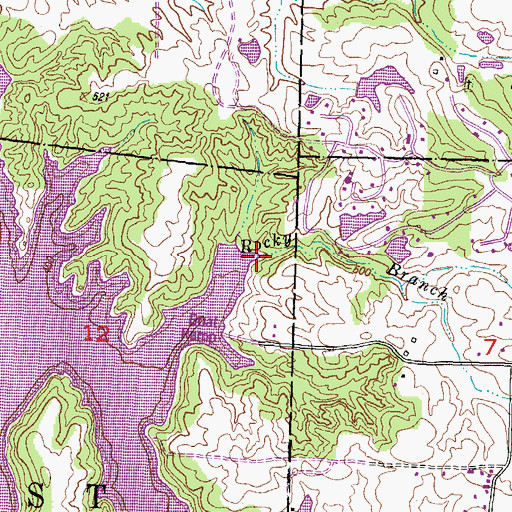 Topographic Map of Rocky Branch, IL