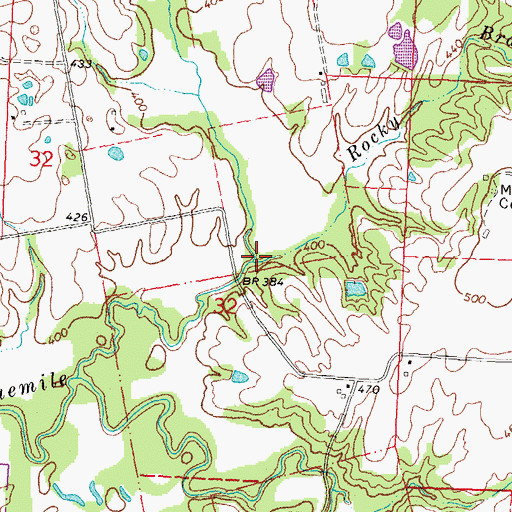Topographic Map of Rocky Branch, IL