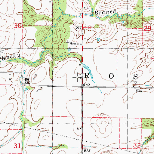 Topographic Map of Rocky Branch School (historical), IL