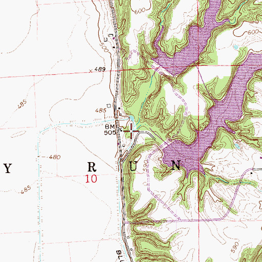 Topographic Map of Rocky Run, IL