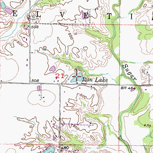 Topographic Map of Ron Lake, IL