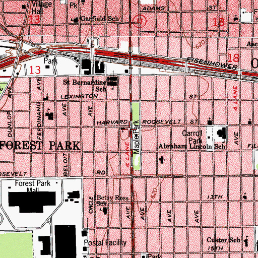 Topographic Map of Roosevelt Park, IL
