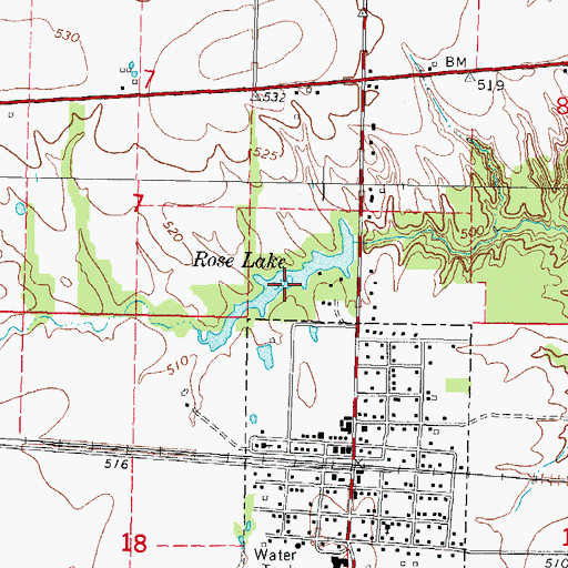 Topographic Map of Rose Lake, IL