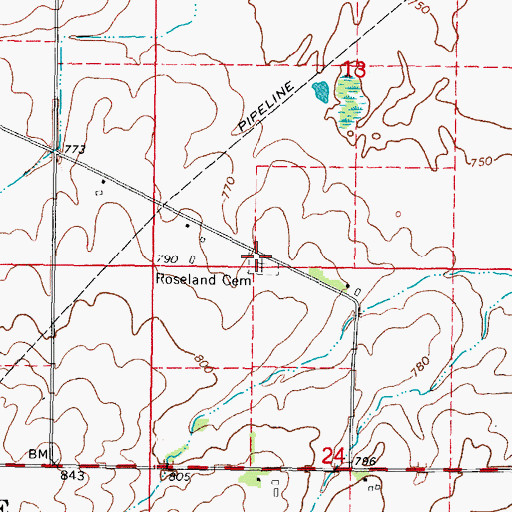 Topographic Map of Roseland Cemetery, IL