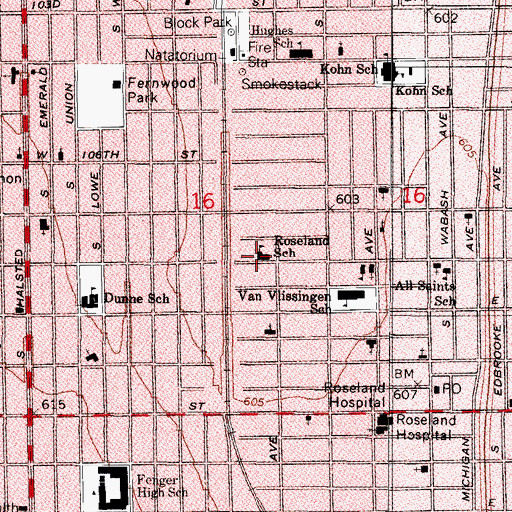 Topographic Map of Roseland School, IL