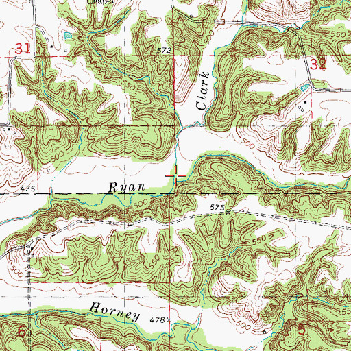 Topographic Map of Ryan Branch, IL