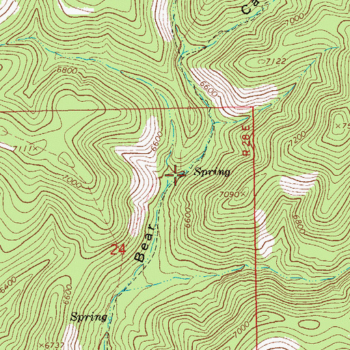 Topographic Map of Bear Cub Spring, AZ