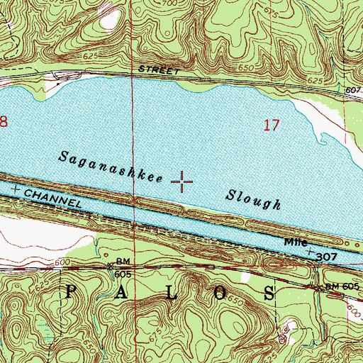 Topographic Map of Saganashkee Slough, IL