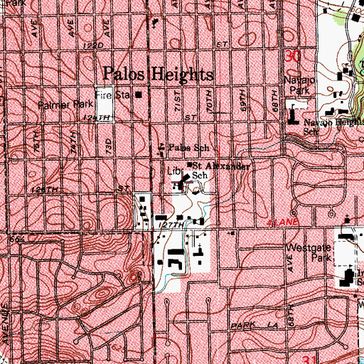 Topographic Map of Saint Alexander School, IL